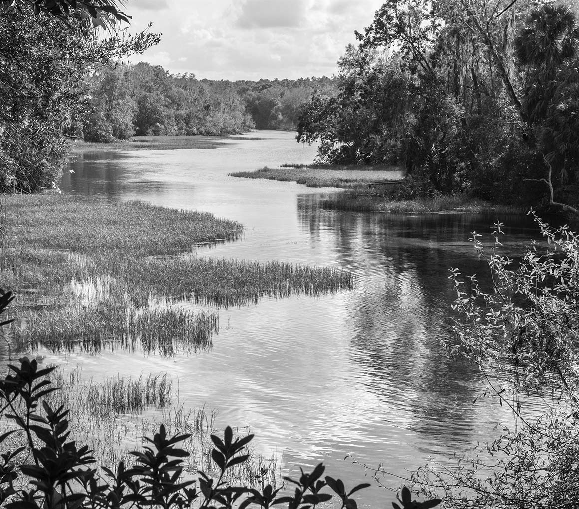 a black and white photo of a river
